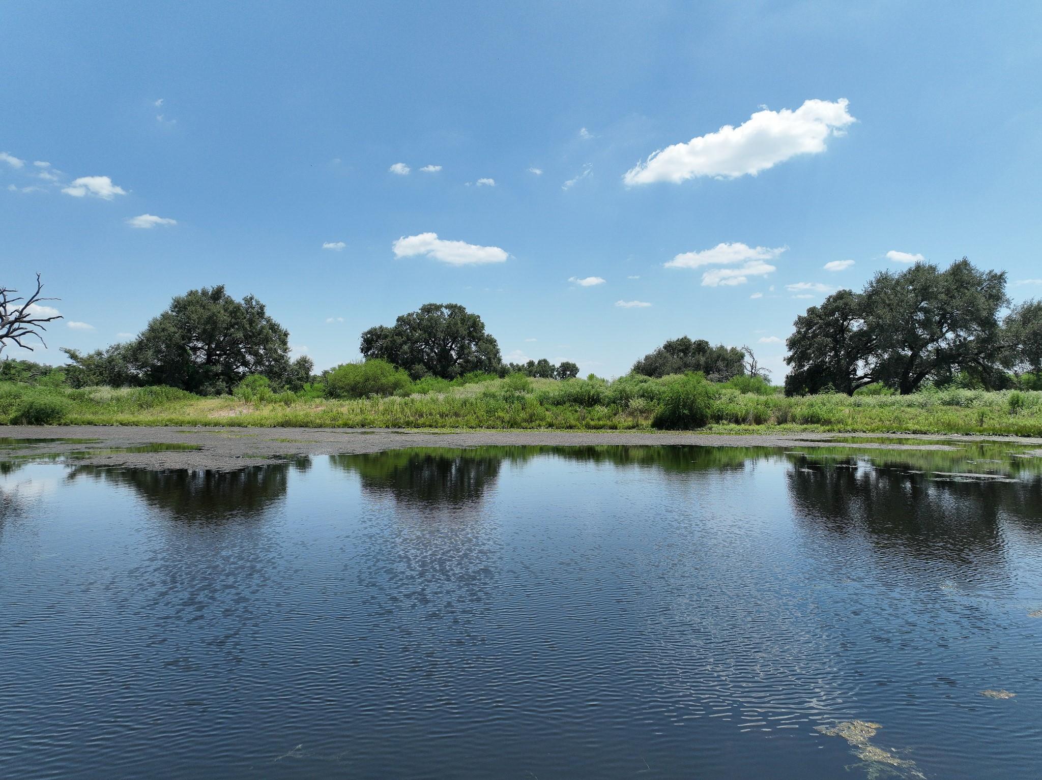 1231 County Road 131