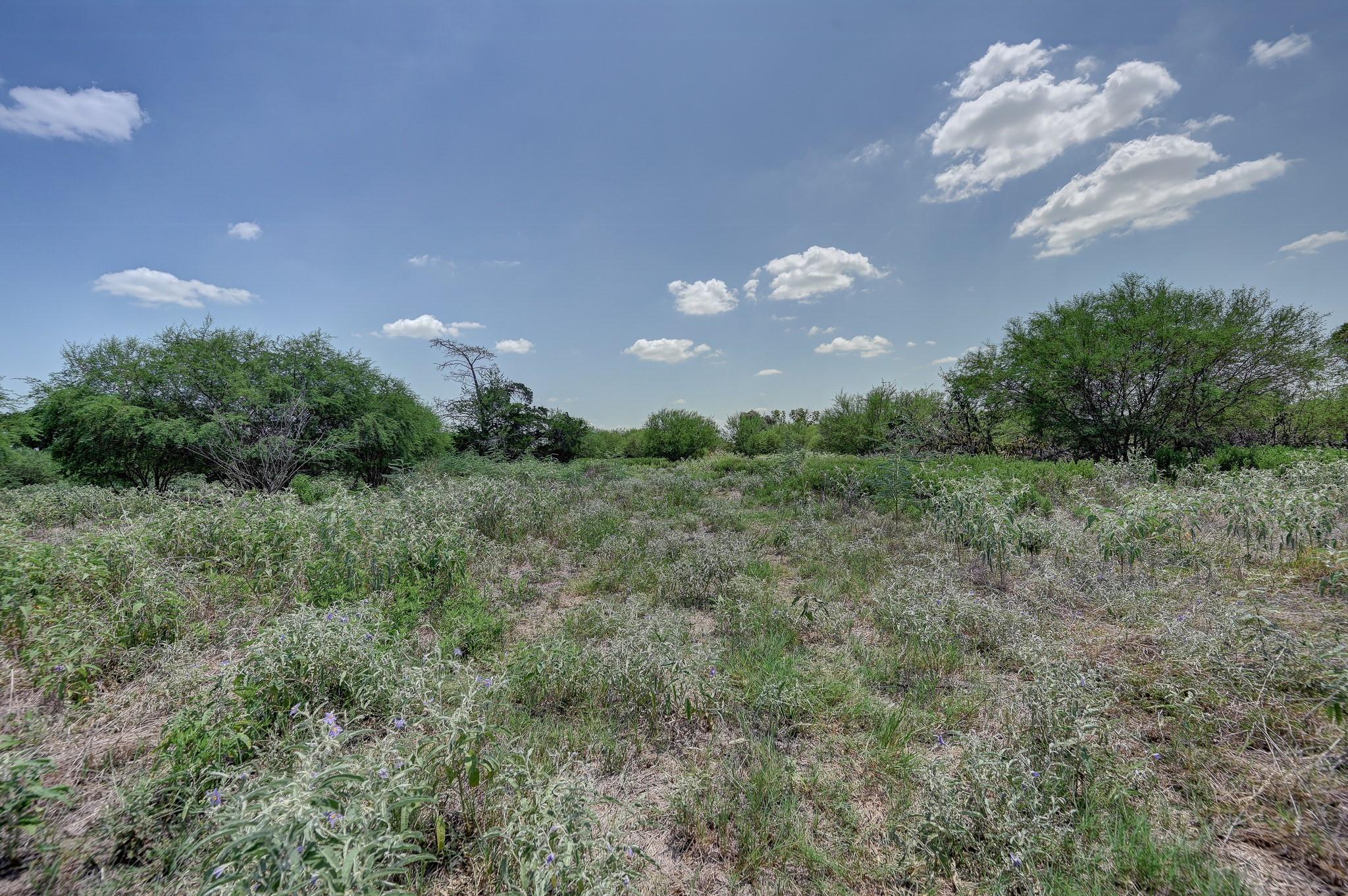 1231 County Road 131
