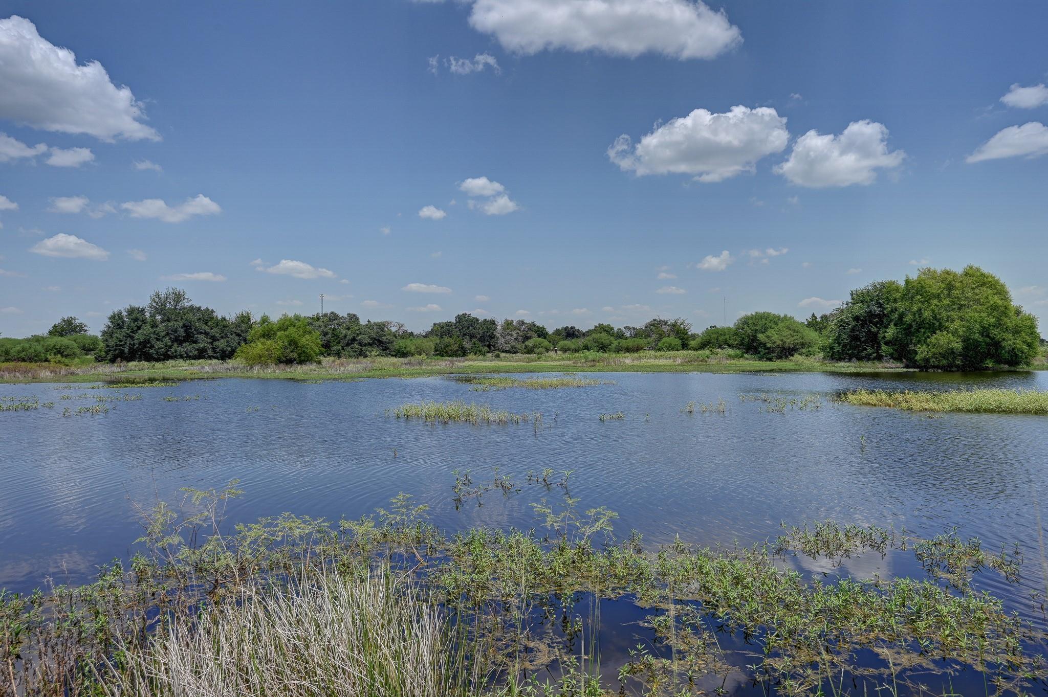 1231 County Road 131
