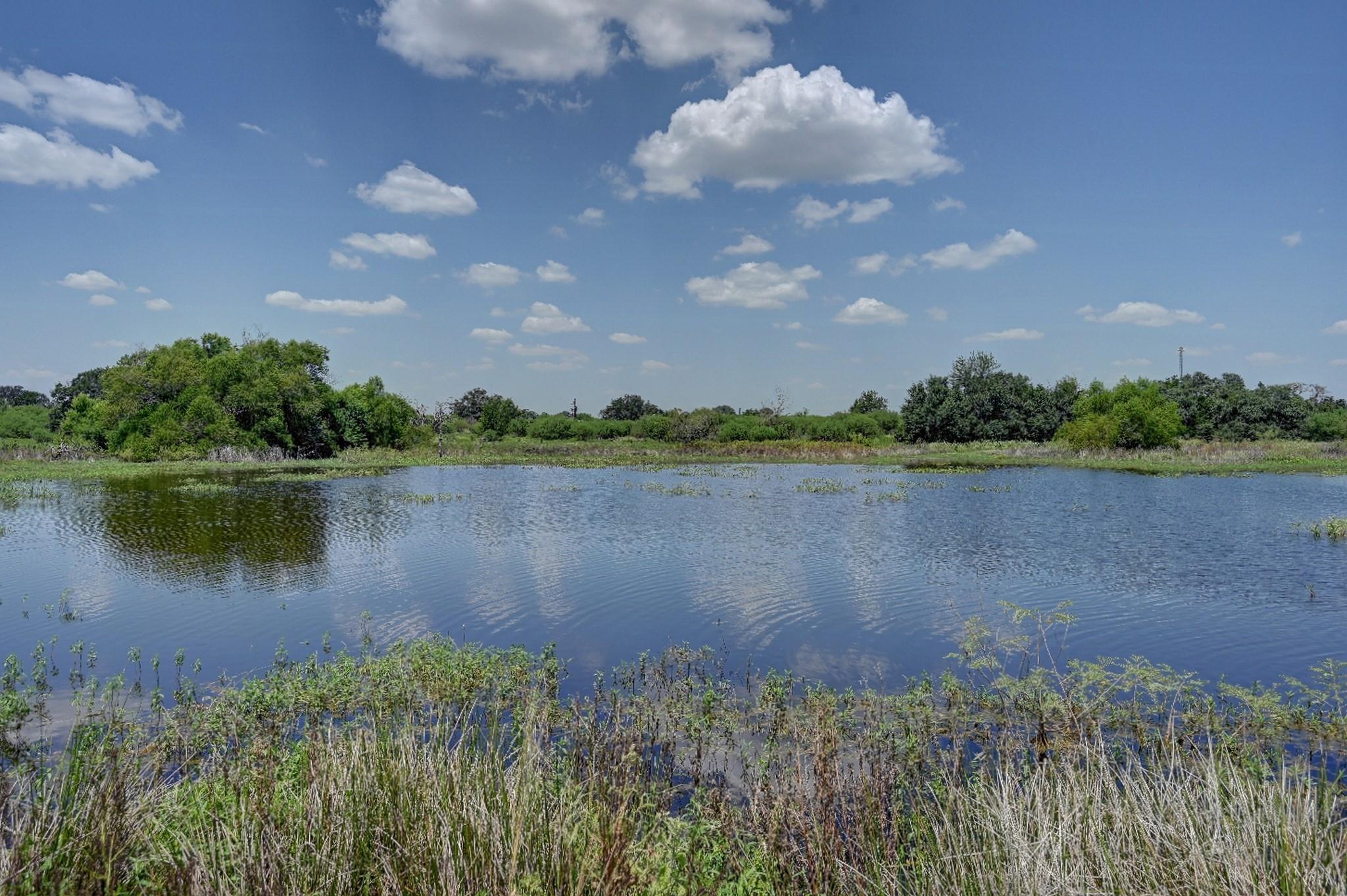 1231 County Road 131