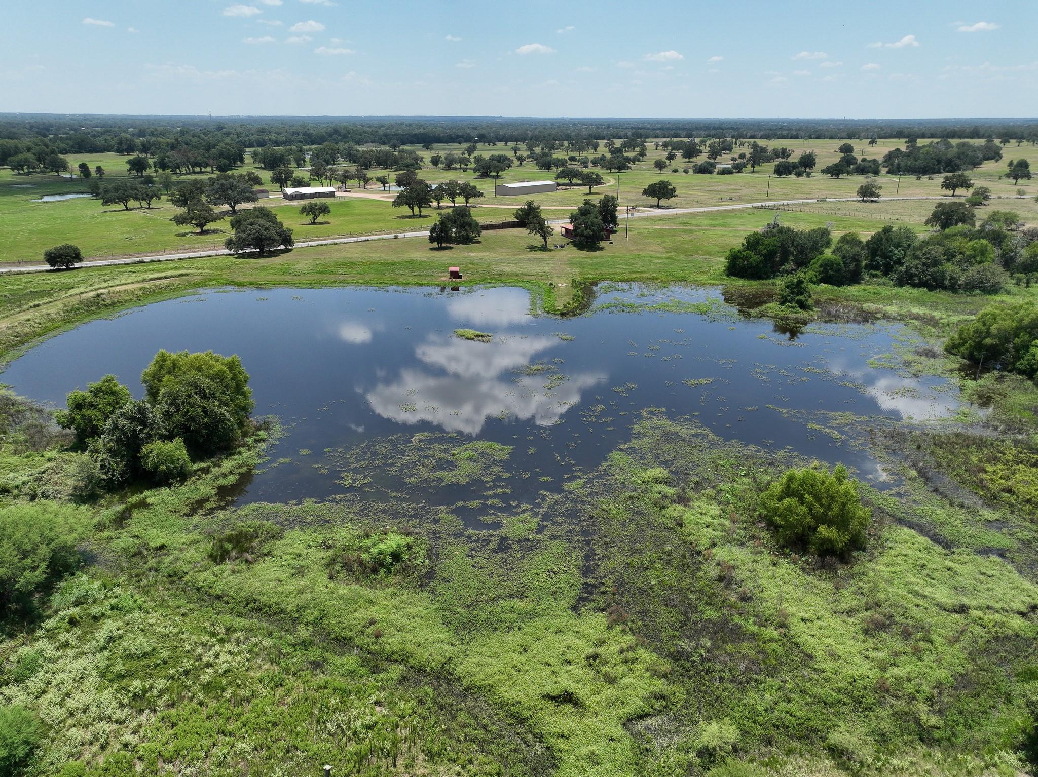 1231 County Road 131