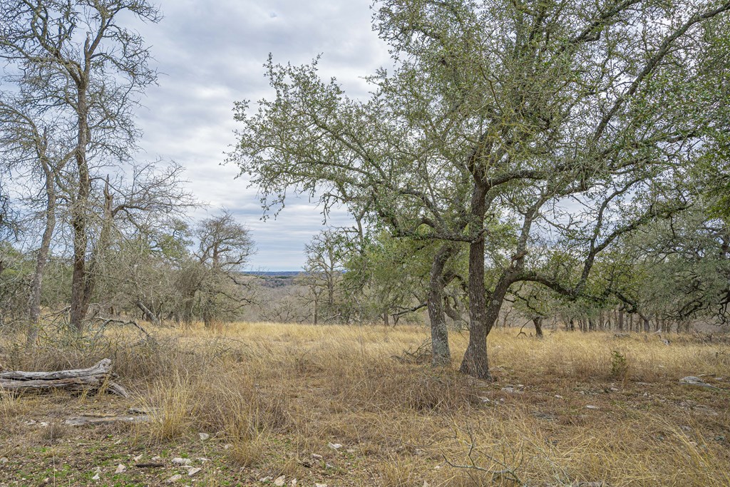 10900 W Ranch Rd 1888