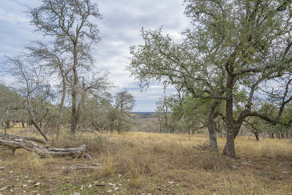 10900 W Ranch Rd 1888