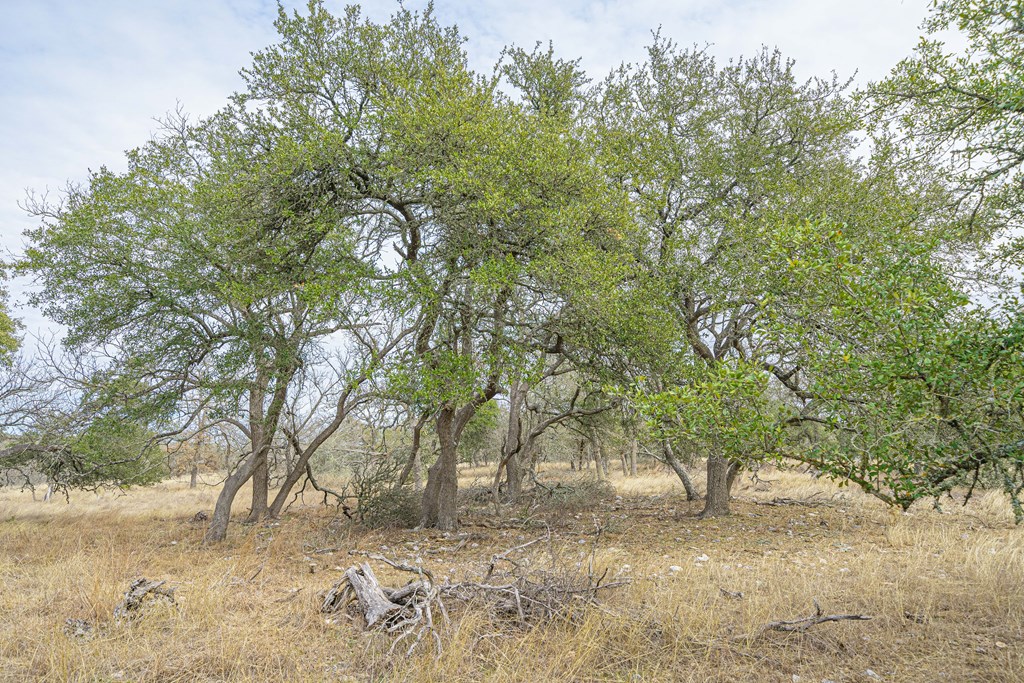 10900 W Ranch Rd 1888