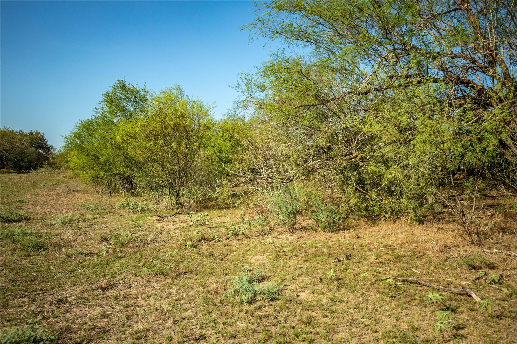 1116 Earl Williams RD