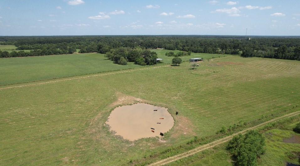 191 County Road 2276