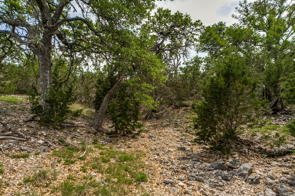 645 Zenner-Ahrens Rd