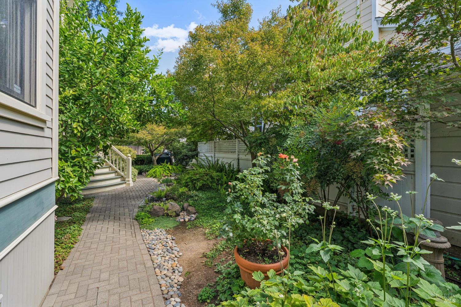 325 Fitch Street