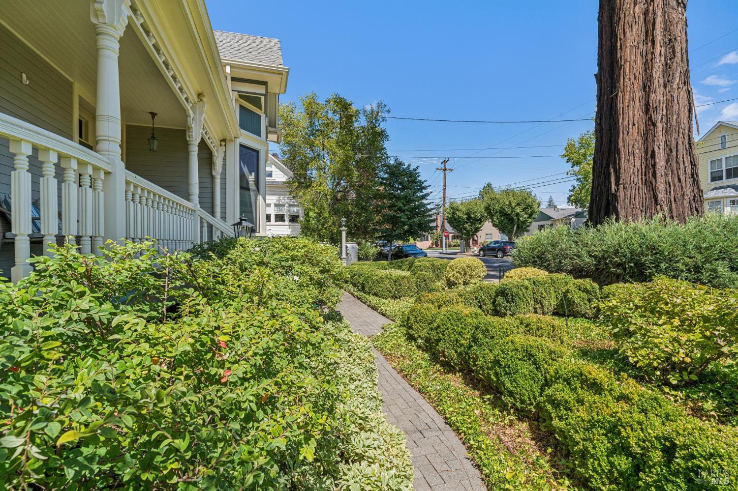325 Fitch Street
