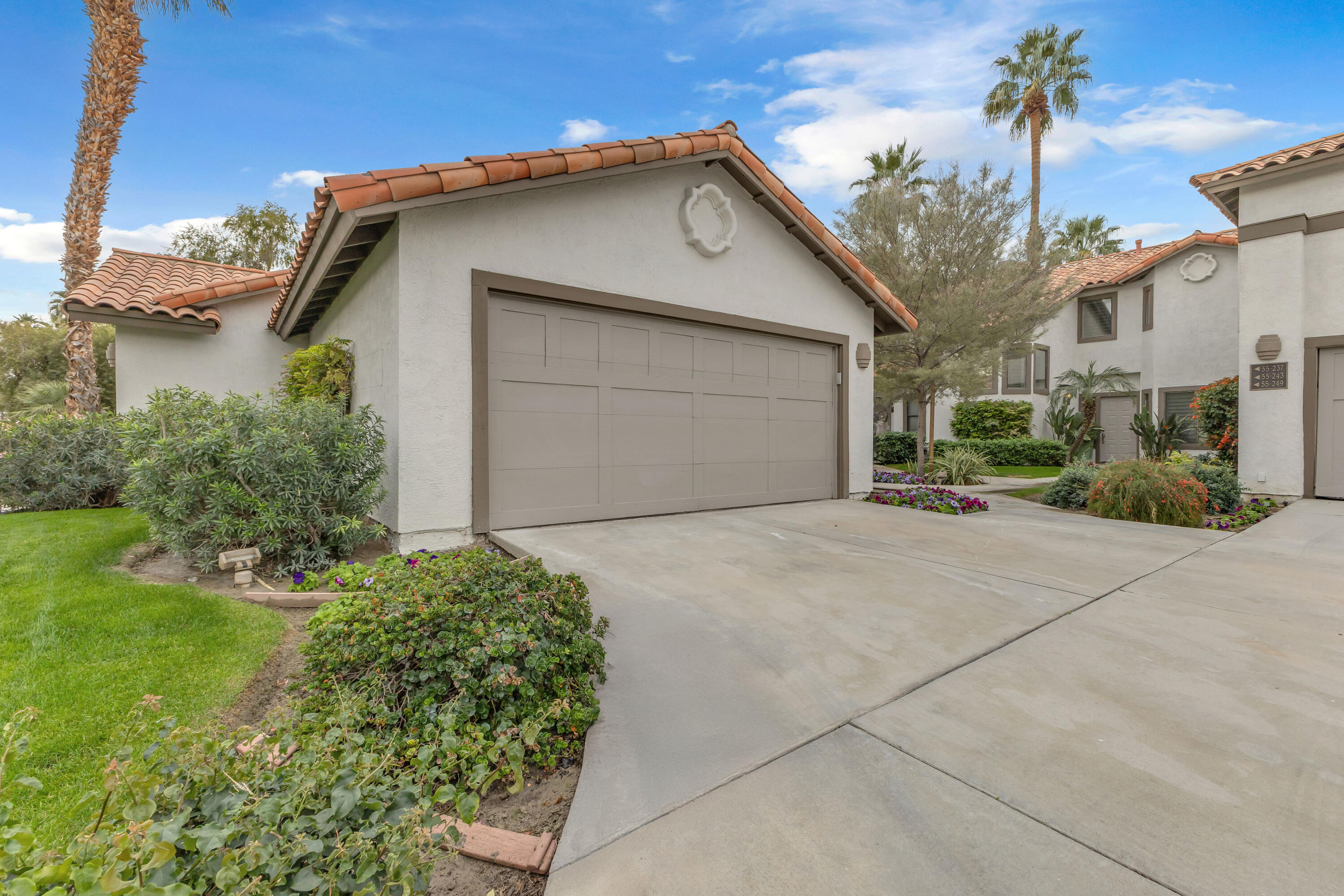 55243 Tanglewood