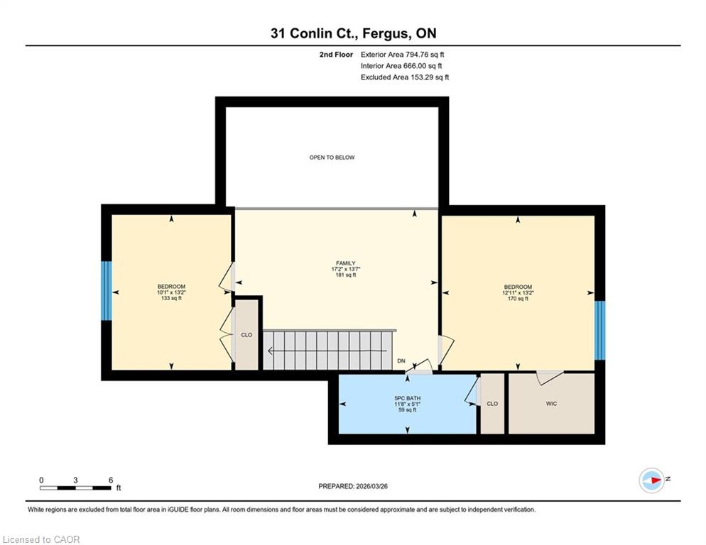 31 Conlin Court