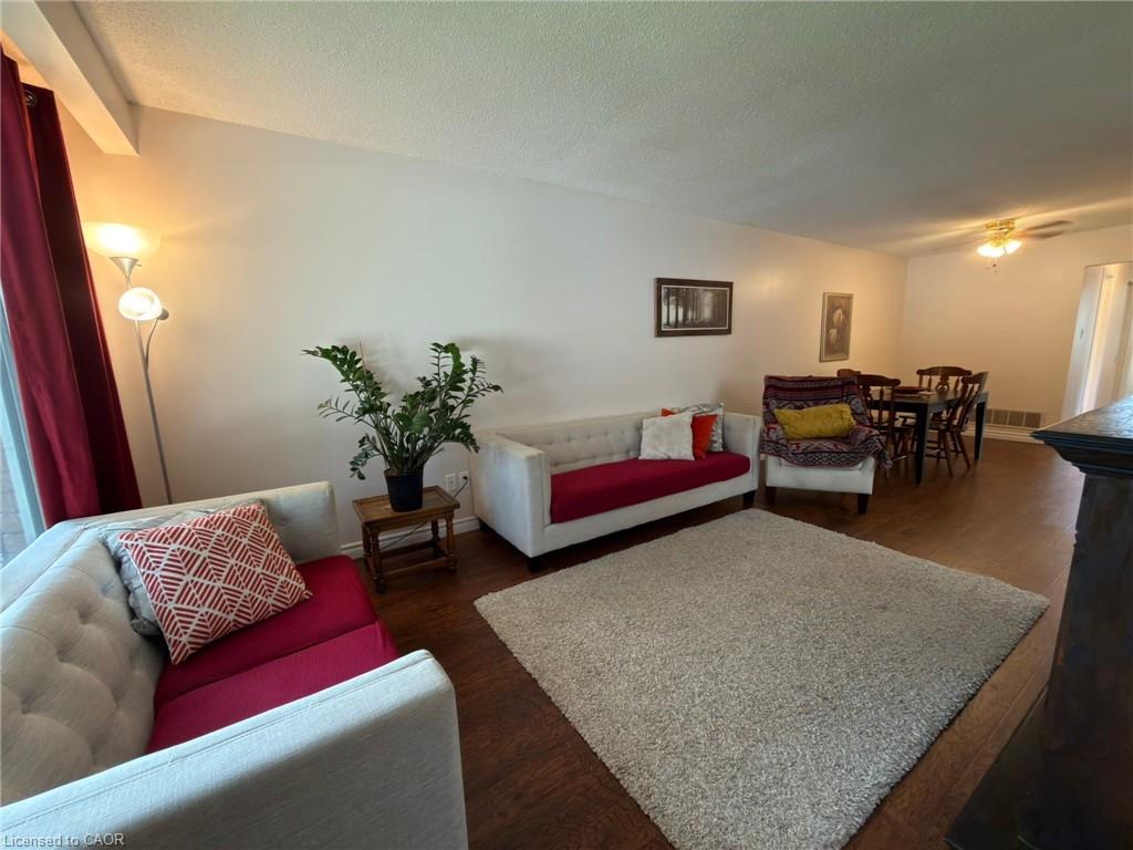 34 Nora Court