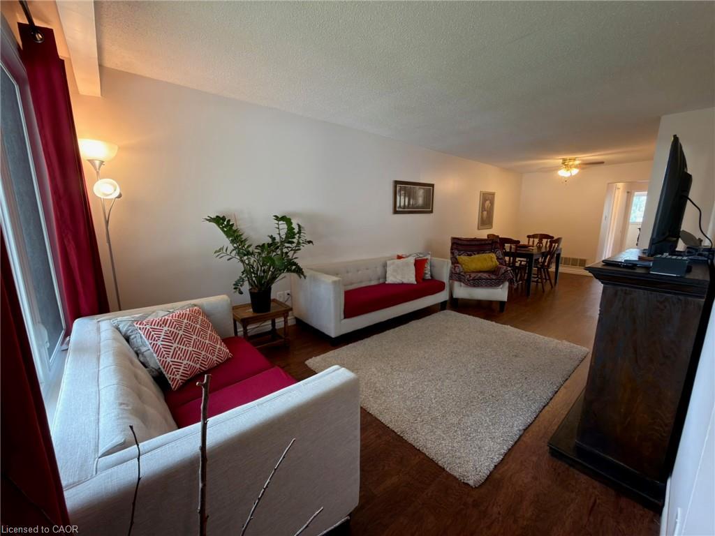 34 Nora Court