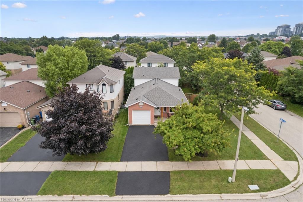 38 Borland Drive