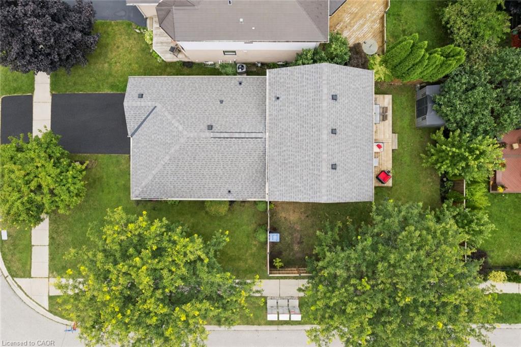 38 Borland Drive