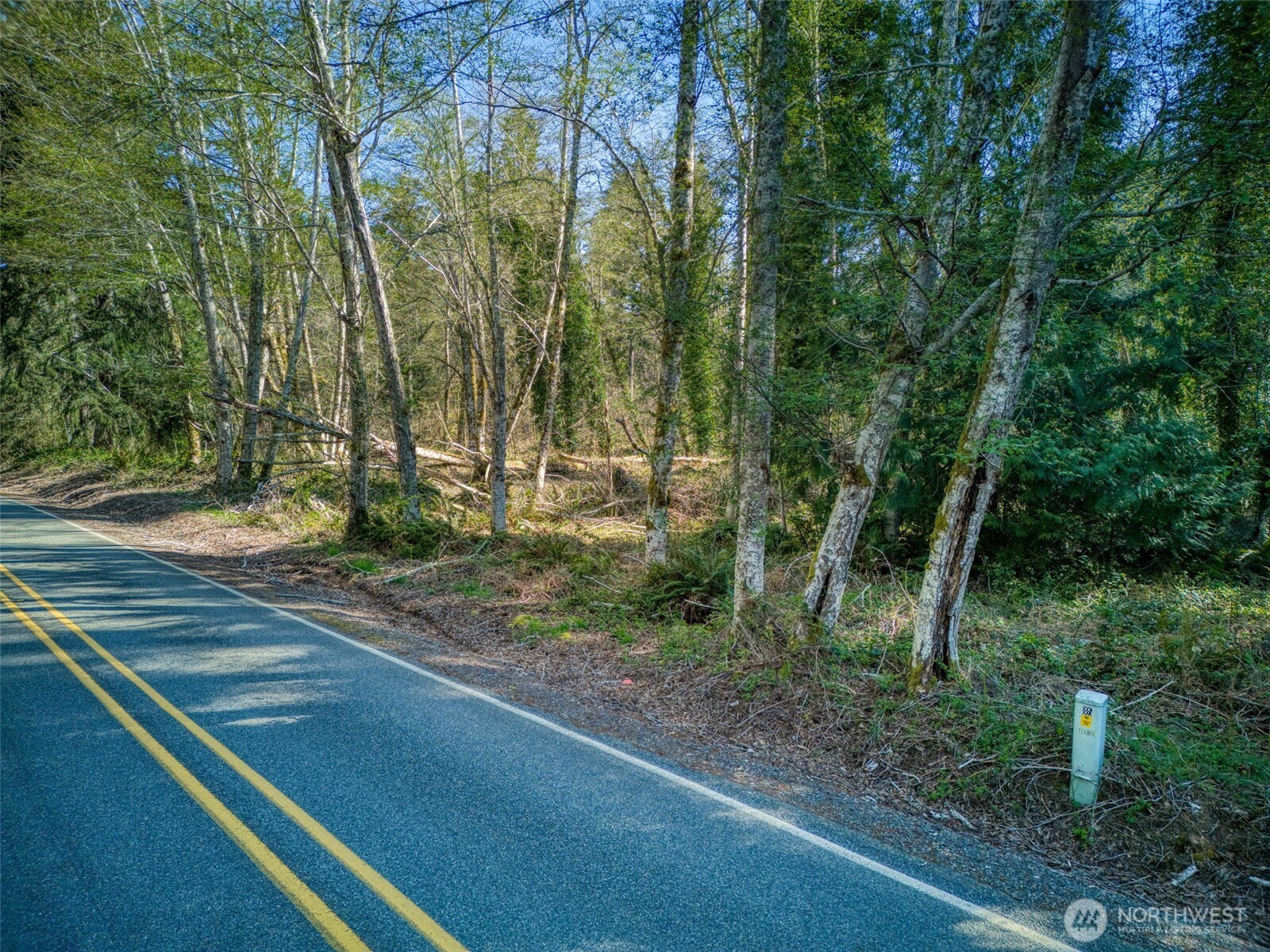 Wooded vacant land beside a paved two-lane road, with a utility marker at the roadside.