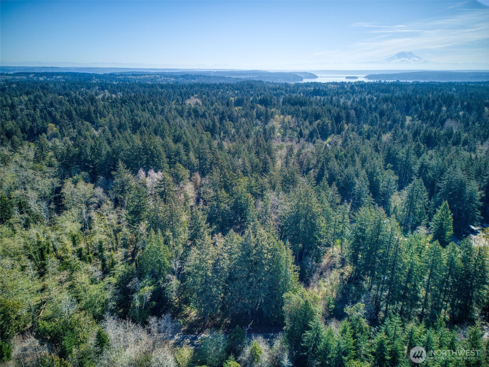 Aerial view of forested land with a distant water view and mountain on the horizon.