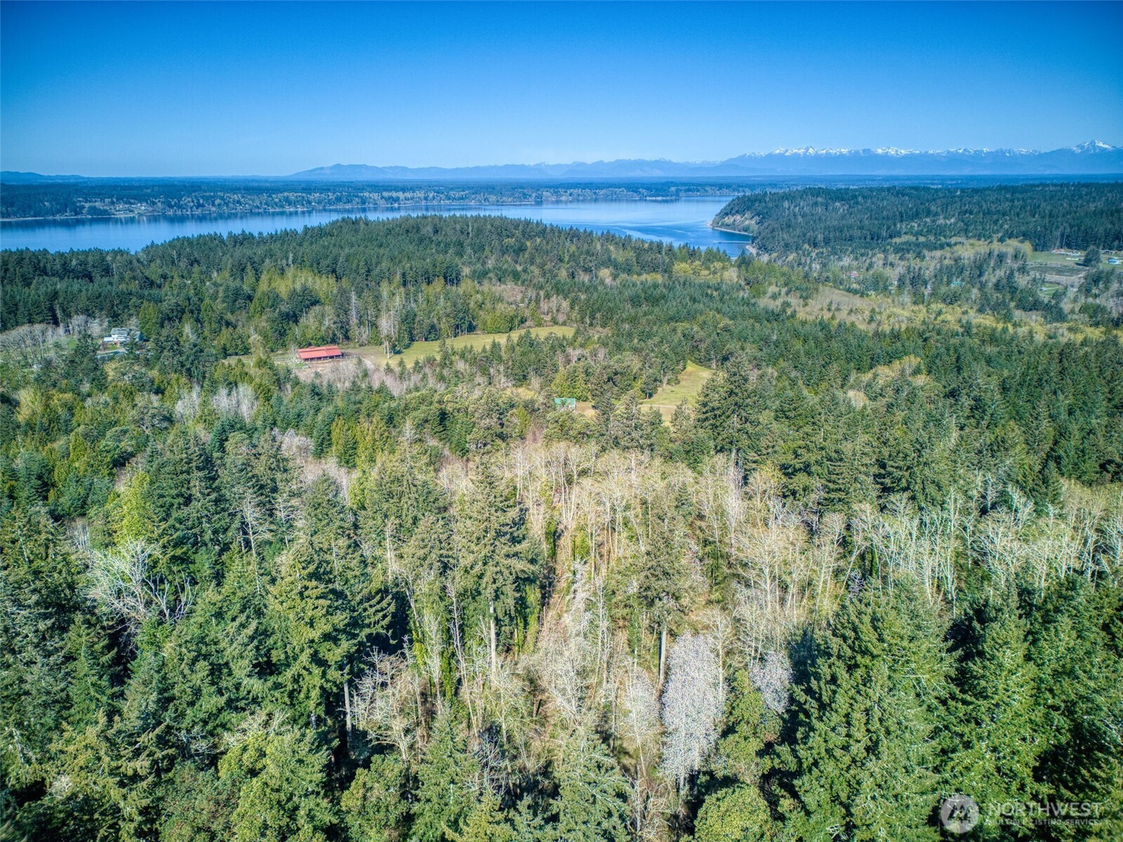 Aerial view of wooded land overlooking a lake and distant snow-capped mountains.