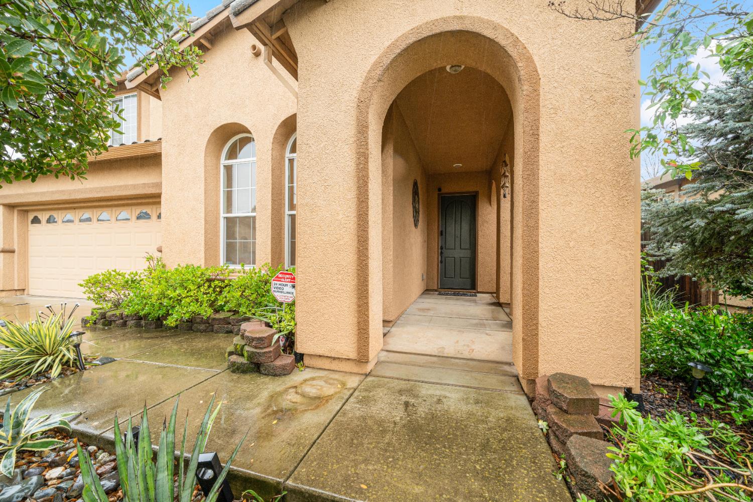 4035 Pinoche Peak Way