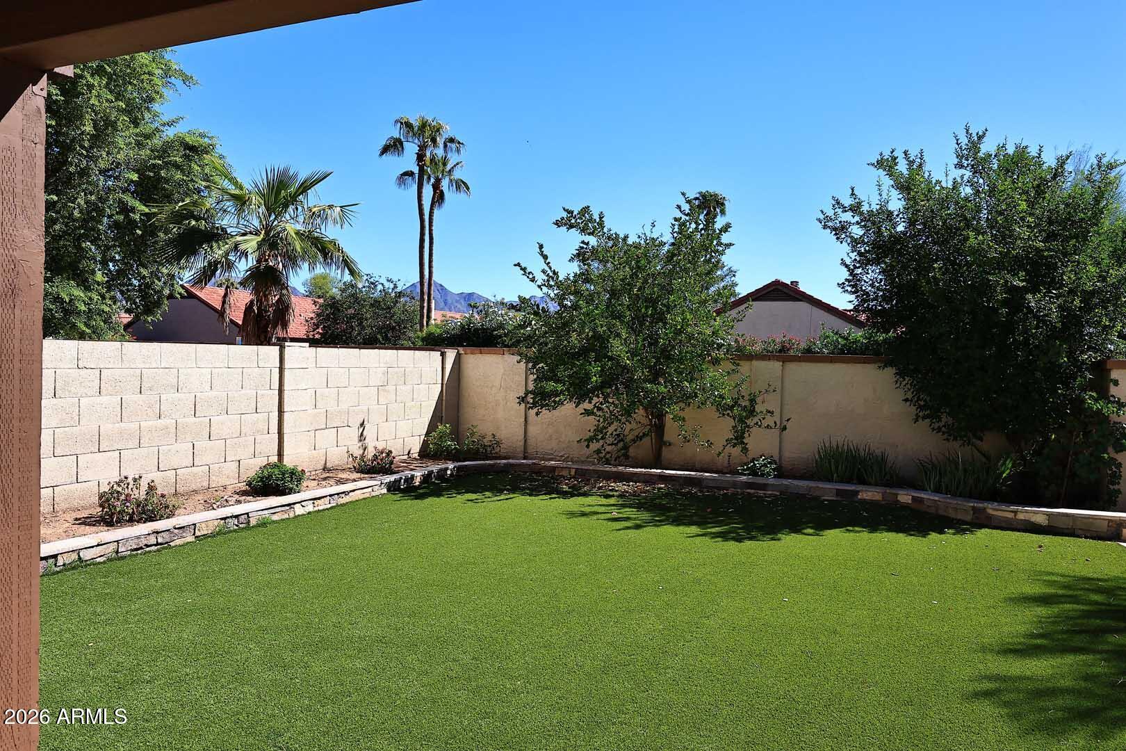Backyard lawn bordered by a stucco wall, with mature palms and distant mountains.