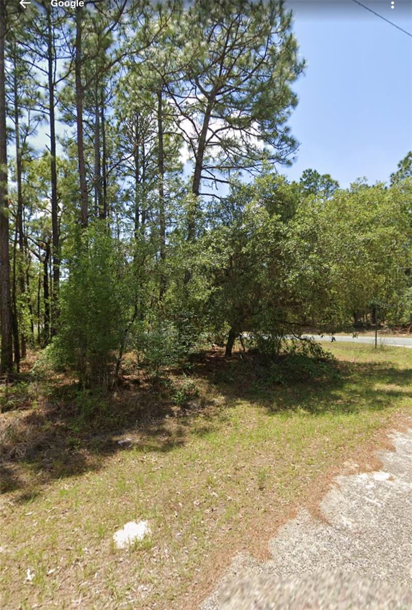 9309 N FAIRY LILLY DR