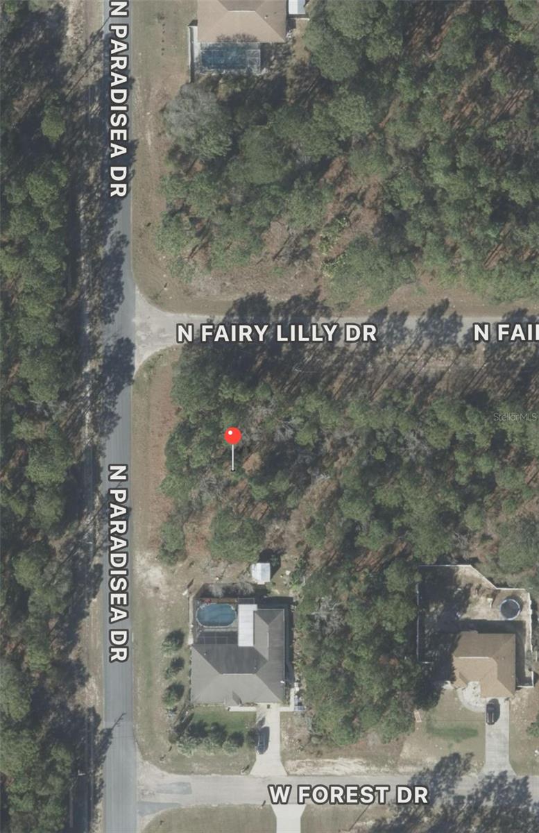 9309 N FAIRY LILLY DR