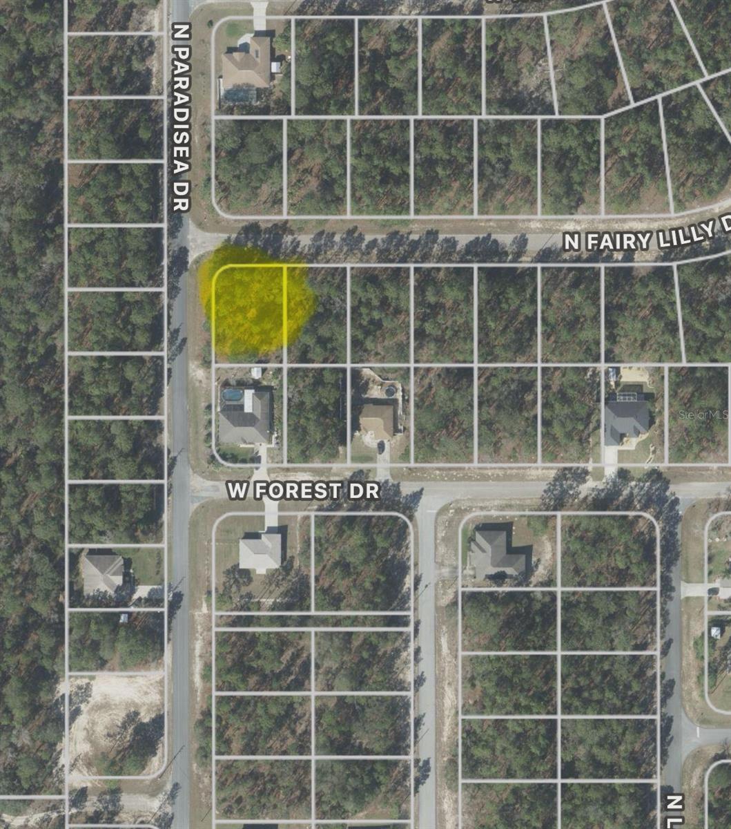 9309 N FAIRY LILLY DR