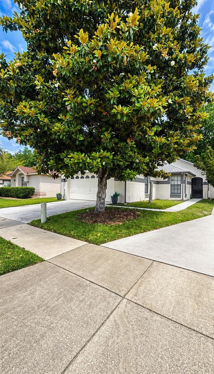 11529 PUMPKIN SEED CT