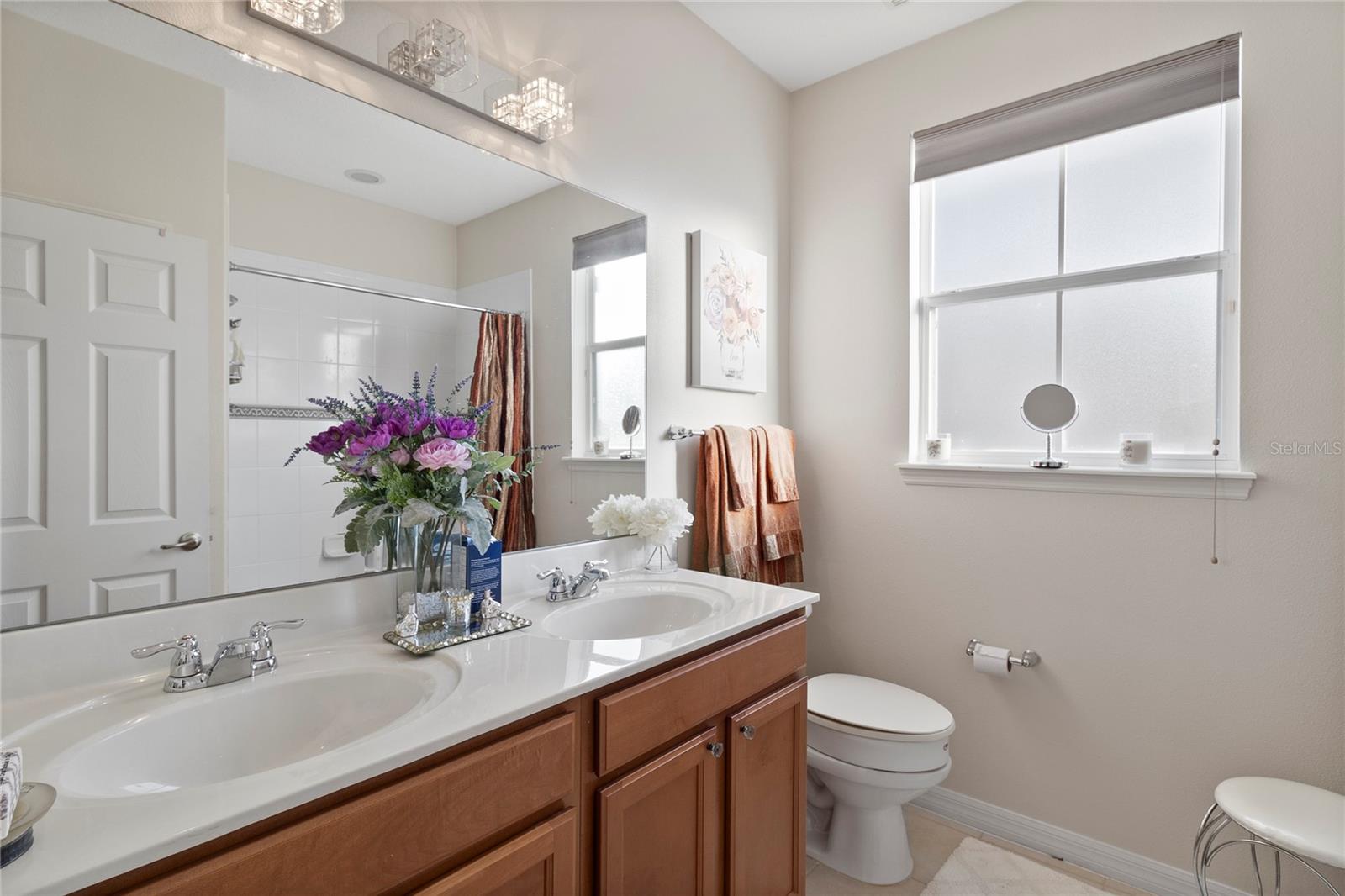 3173 AQUA VIRGO LOOP #18