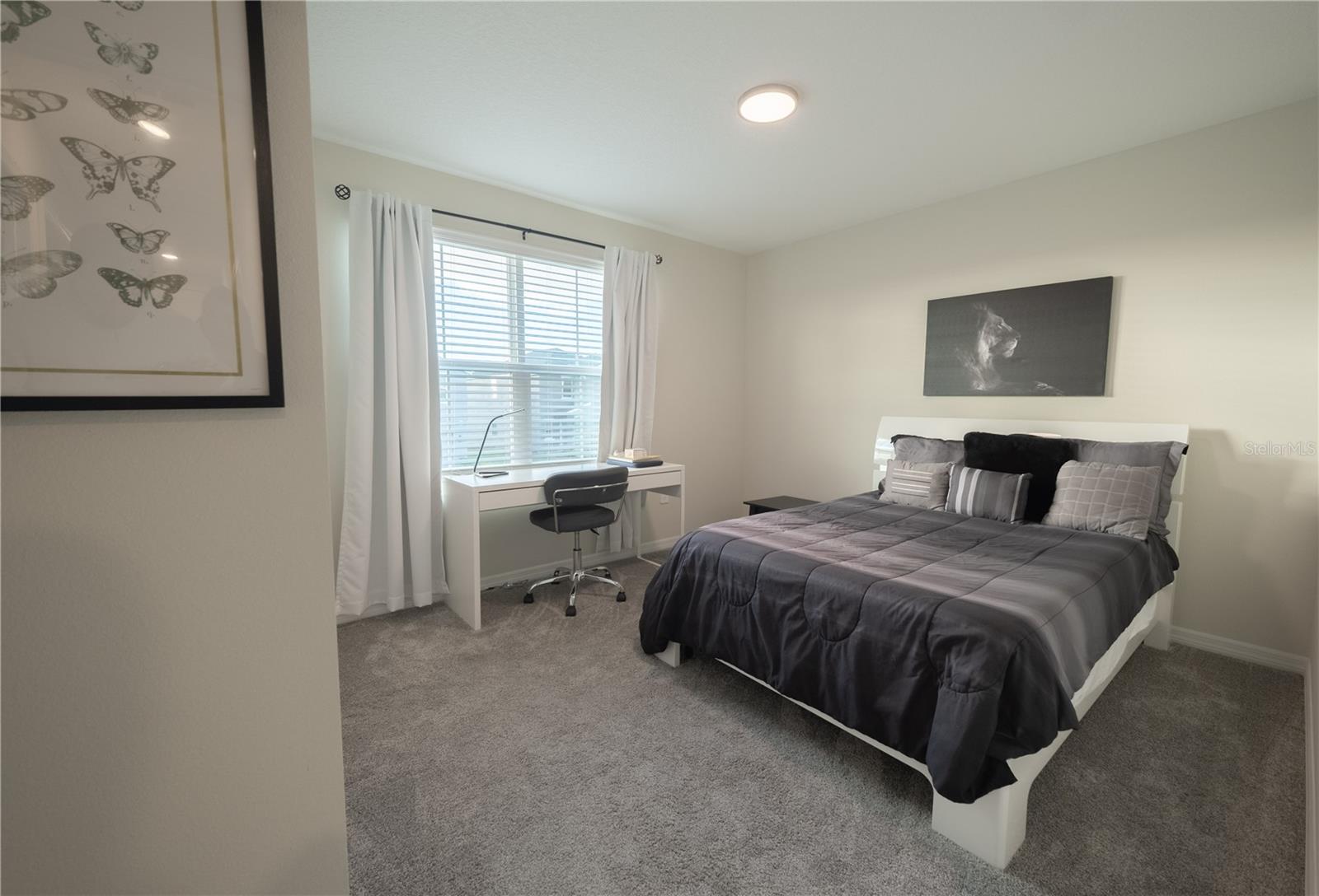 2825 MULLER OAK LOOP