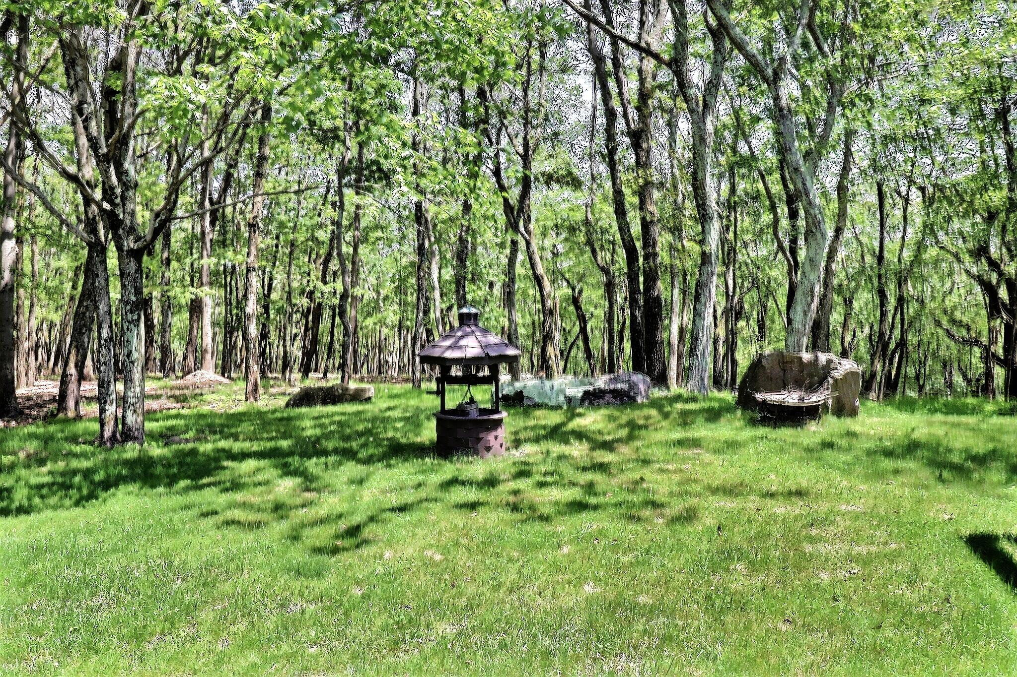 146 Algonquin Trail