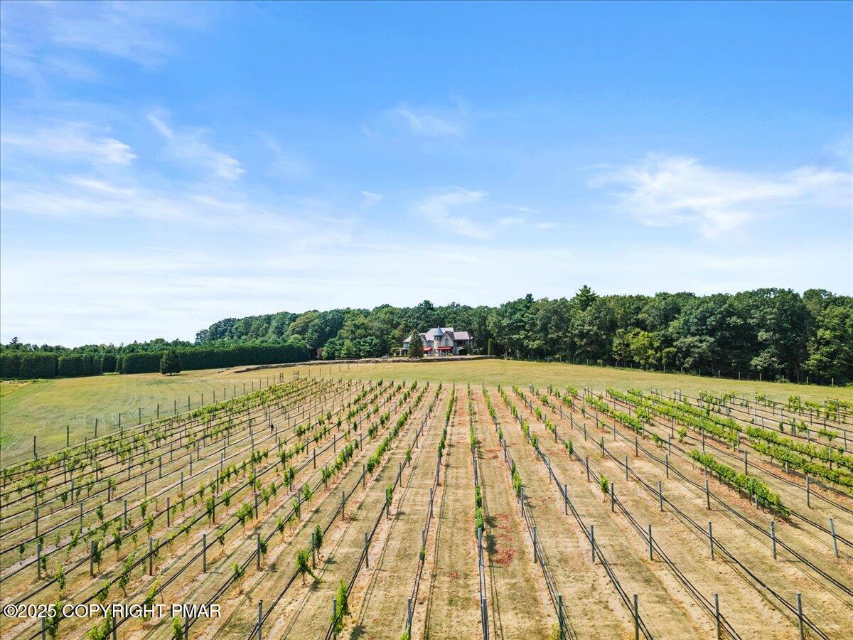 1212 Burger Hollow Road