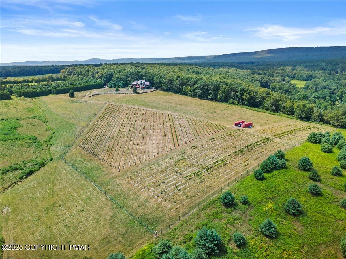 1212 Burger Hollow Road