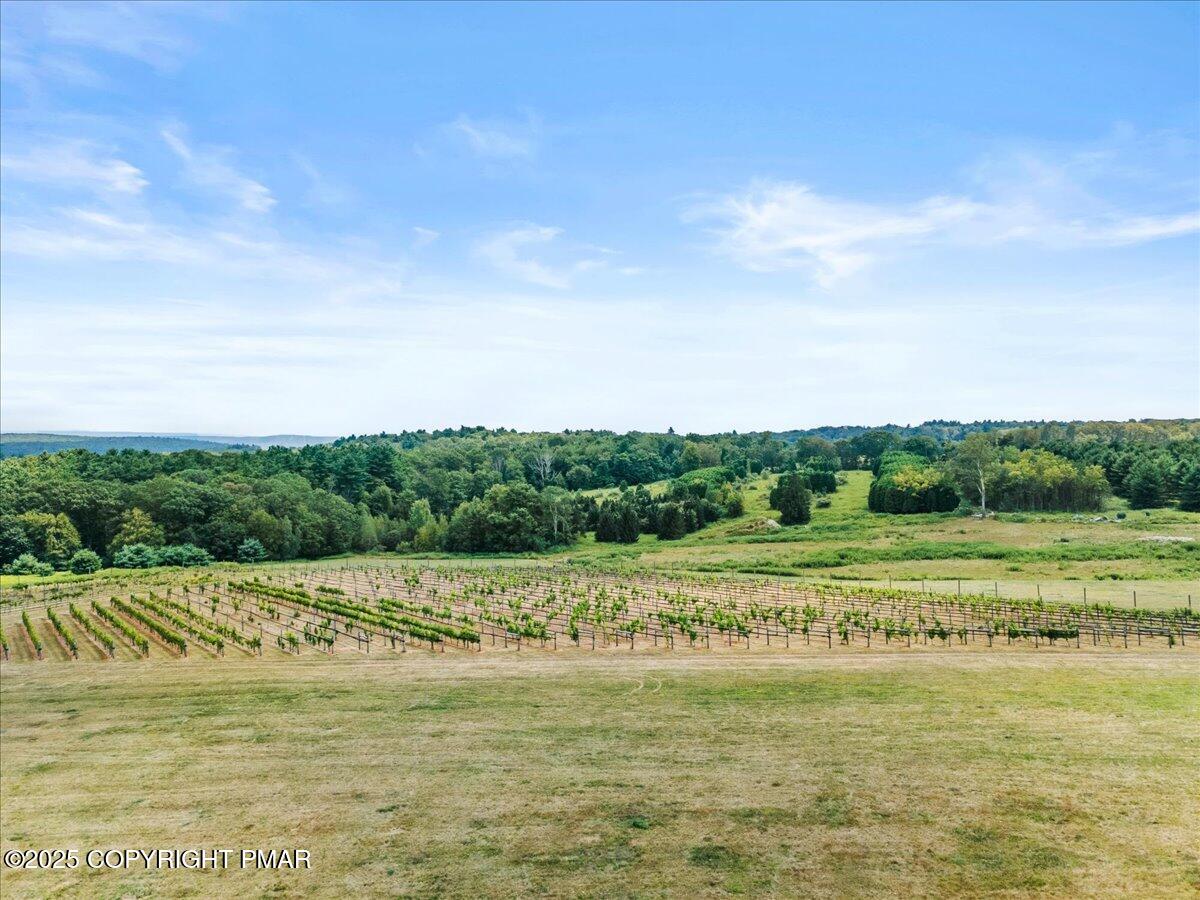 1212 Burger Hollow Road