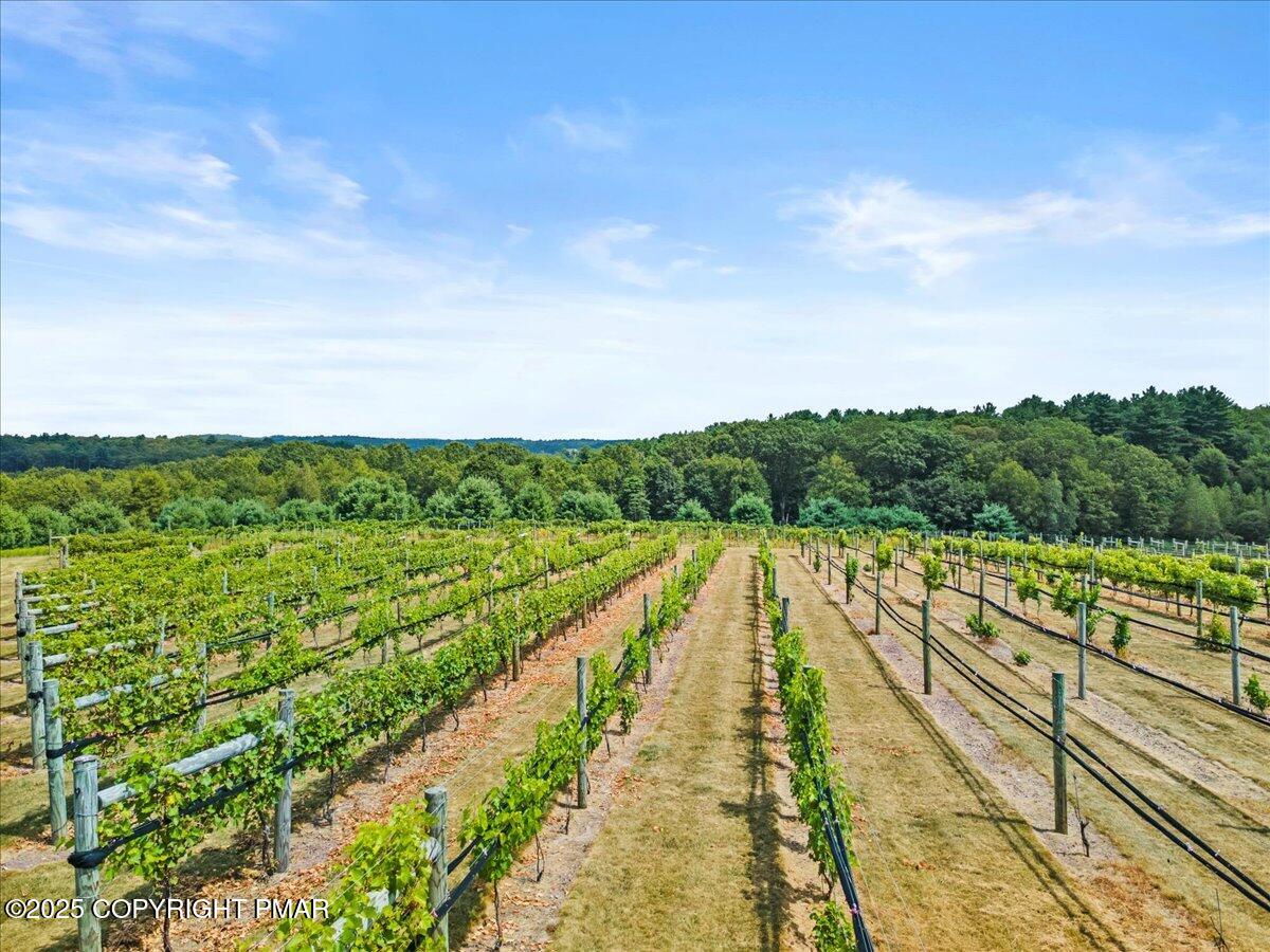 1212 Burger Hollow Road