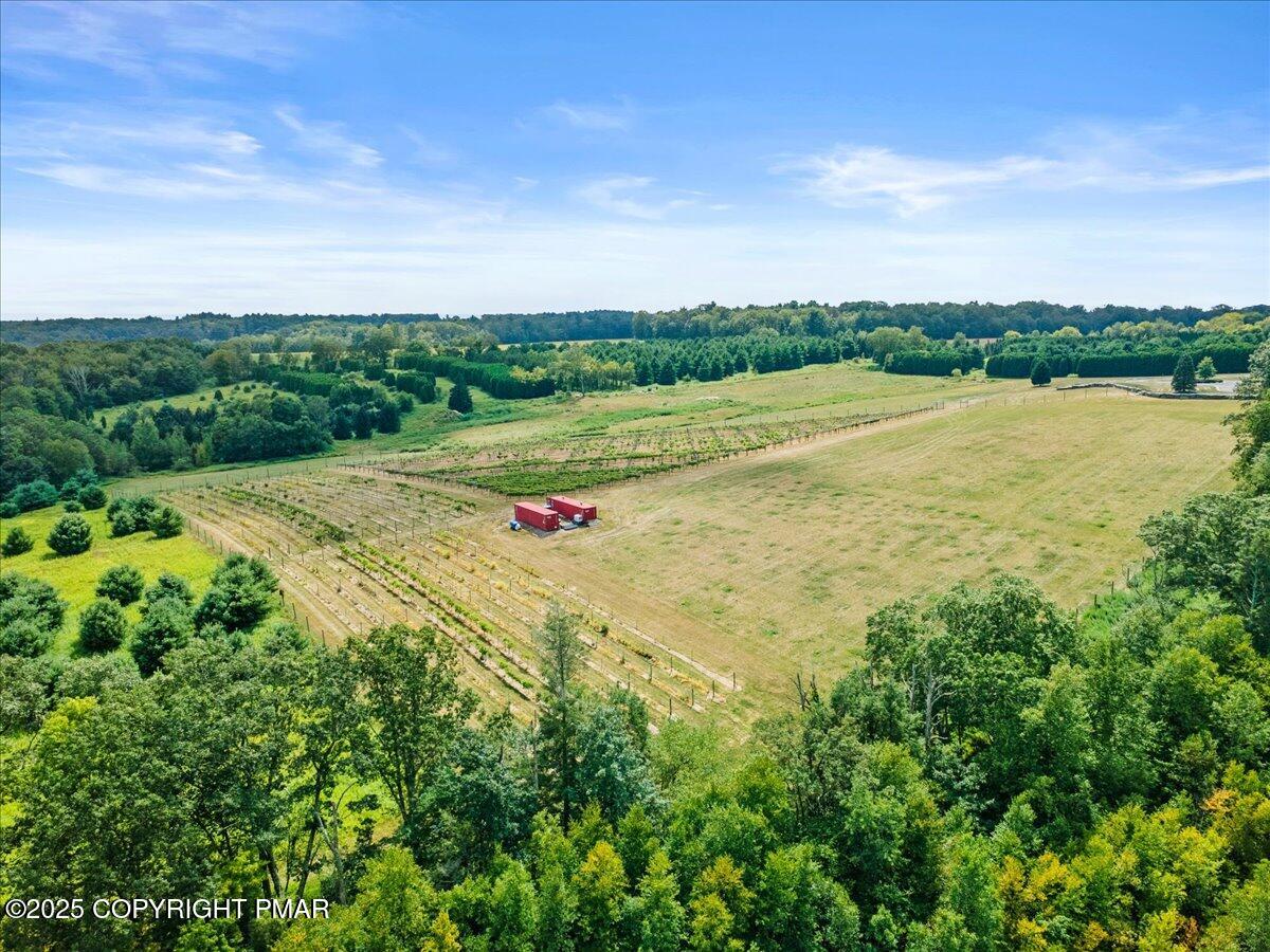 1212 Burger Hollow Road