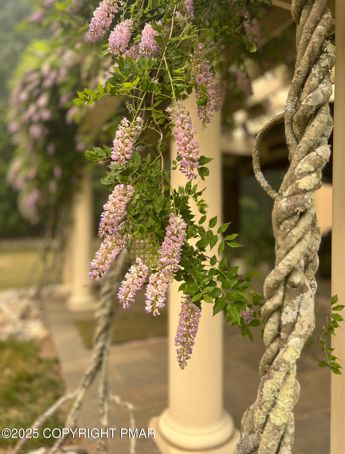 1212 Burger Hollow Road