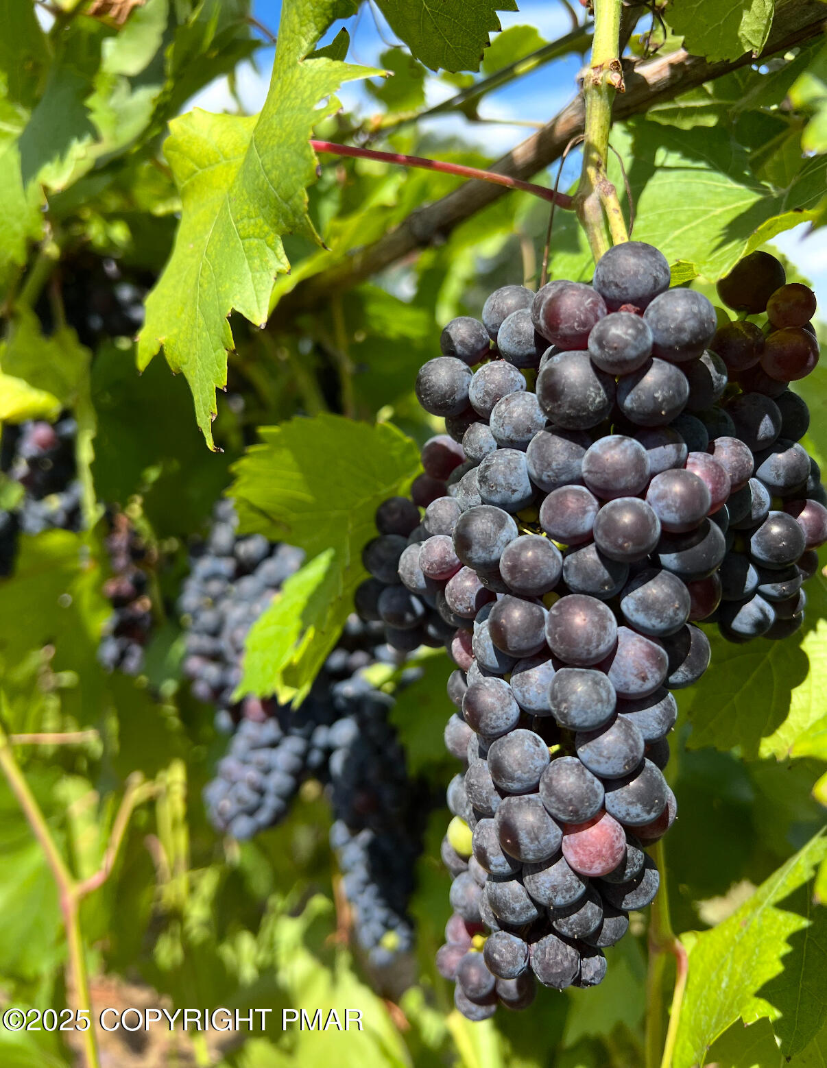 1212 Burger Hollow Road