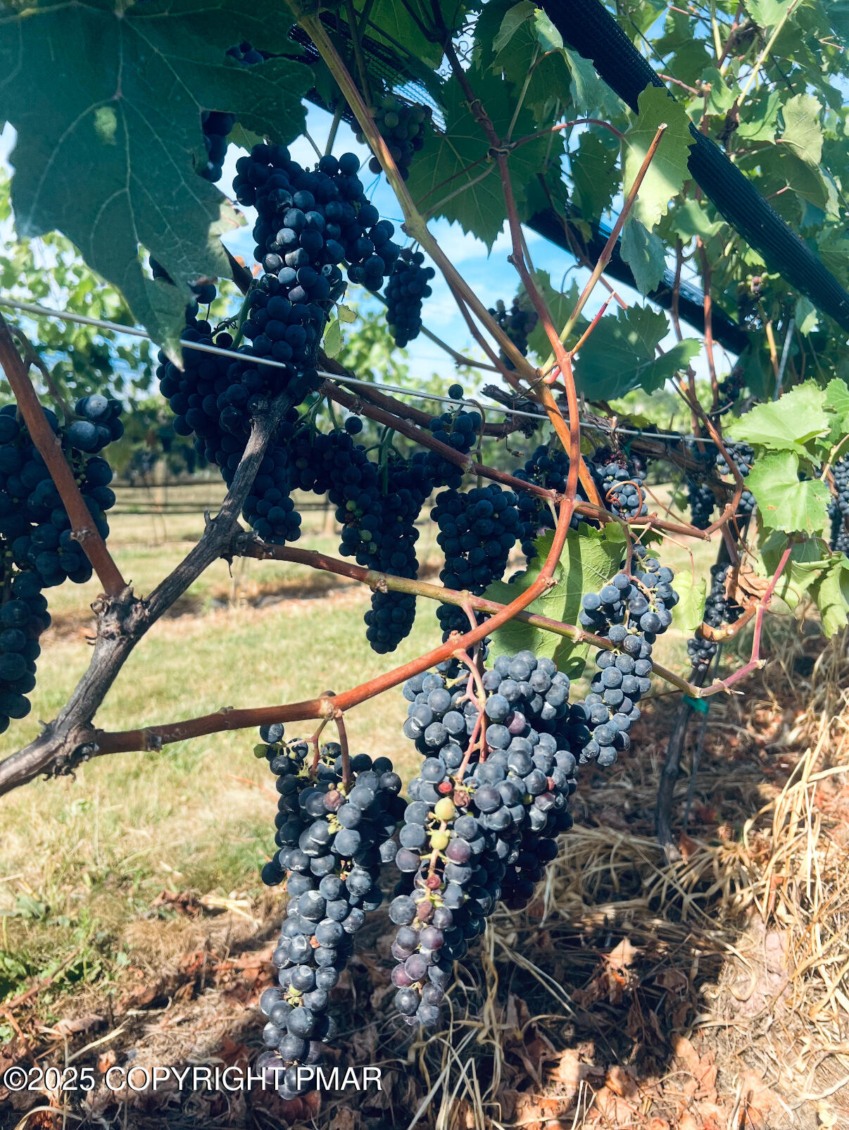 1212 Burger Hollow Road