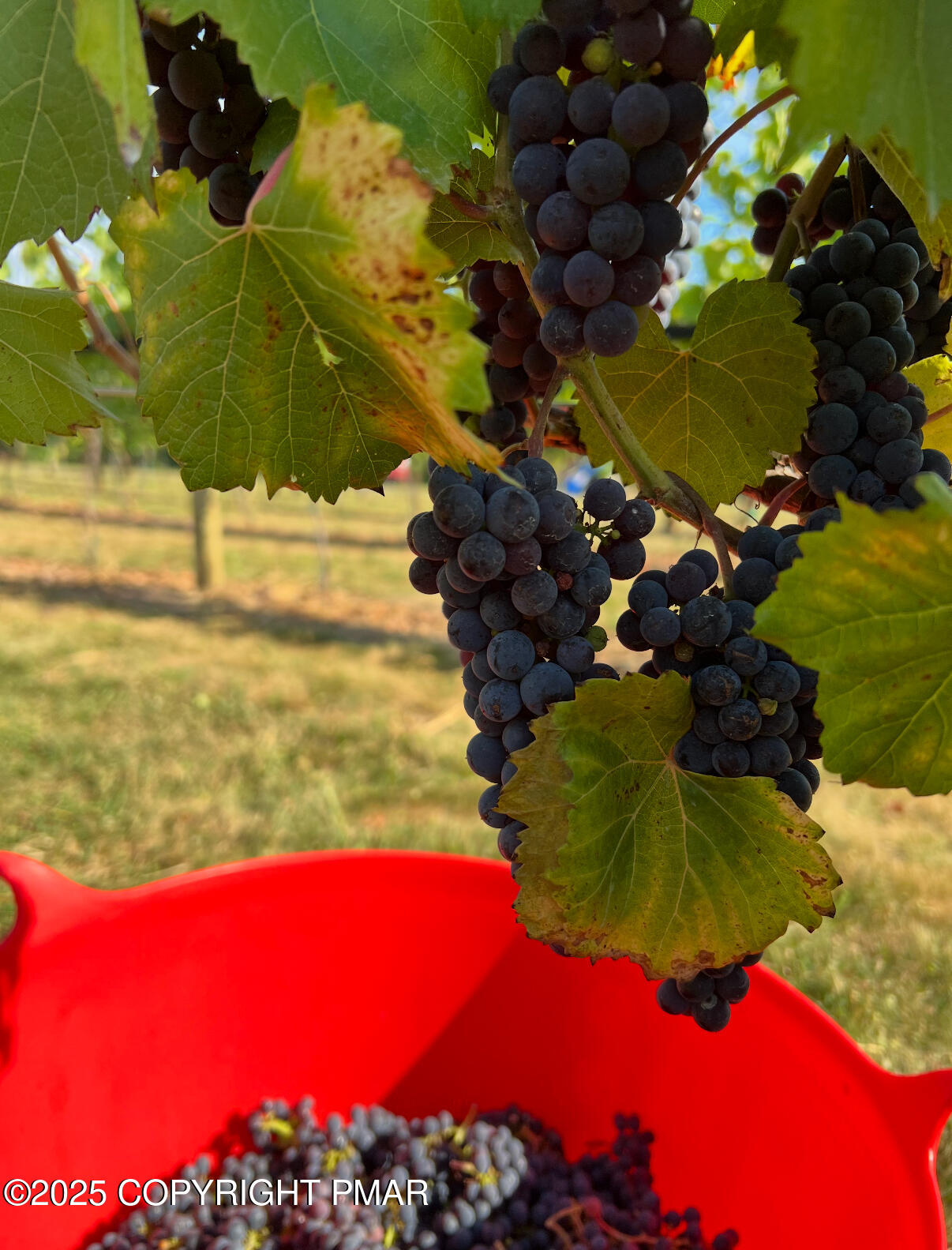 1212 Burger Hollow Road