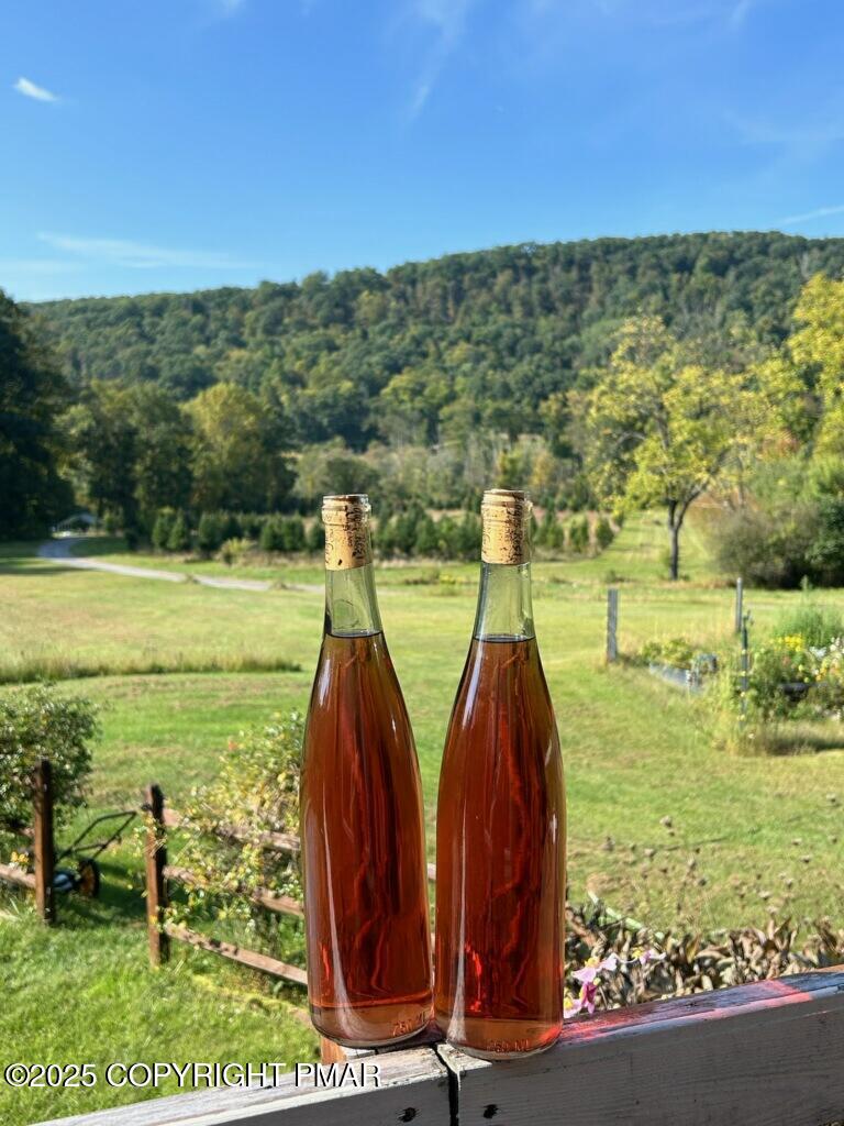 1212 Burger Hollow Road