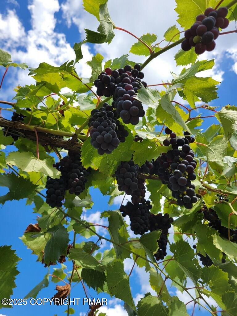 1212 Burger Hollow Road