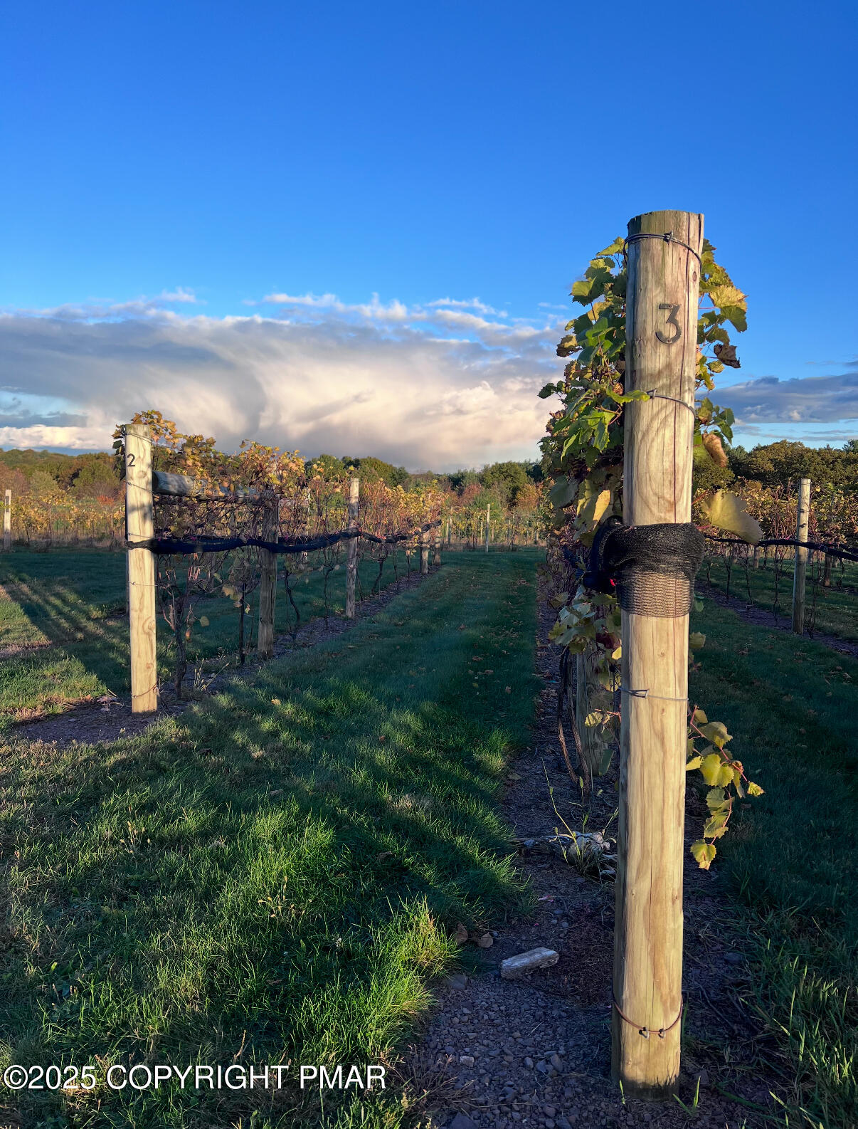 1212 Burger Hollow Road