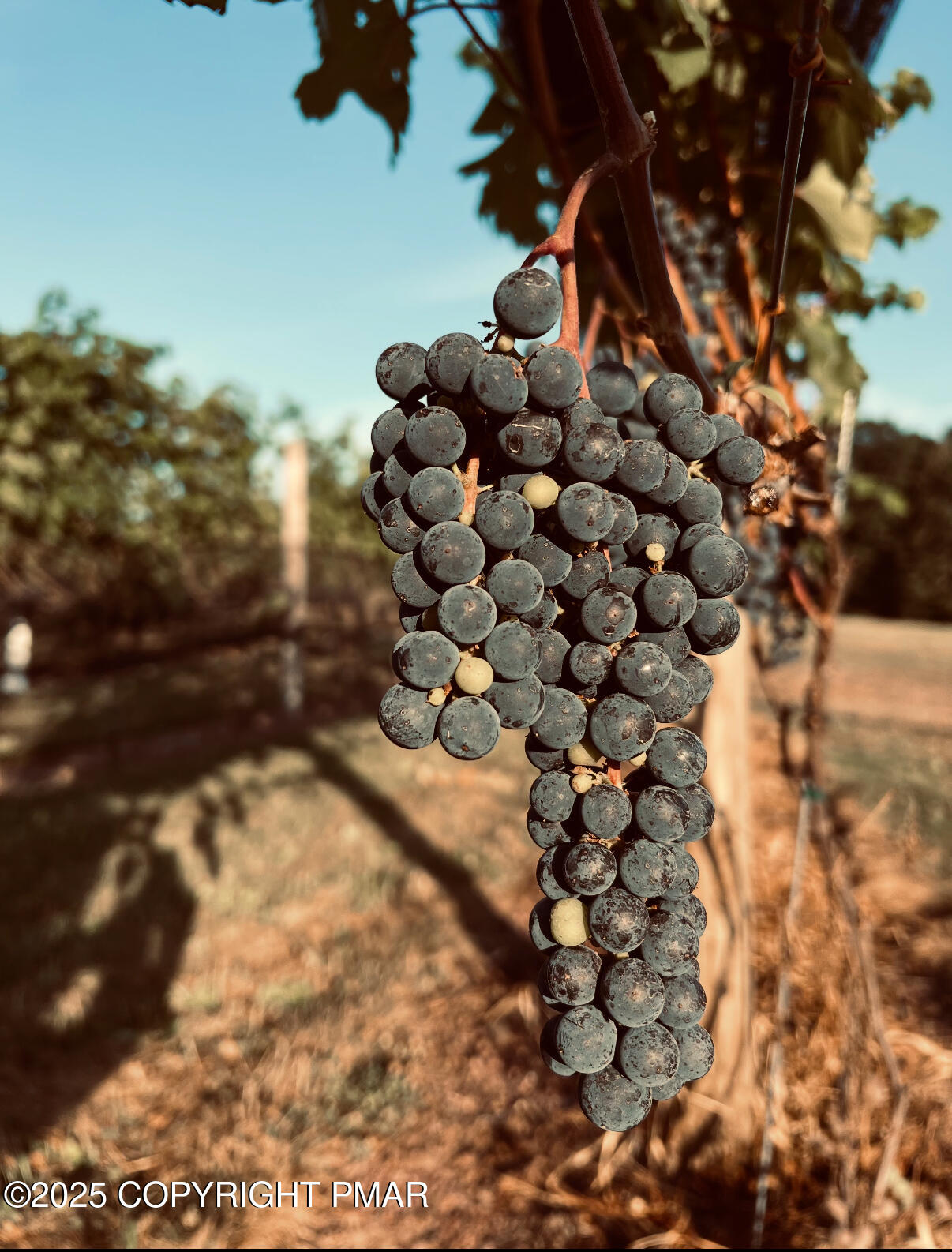 1212 Burger Hollow Road