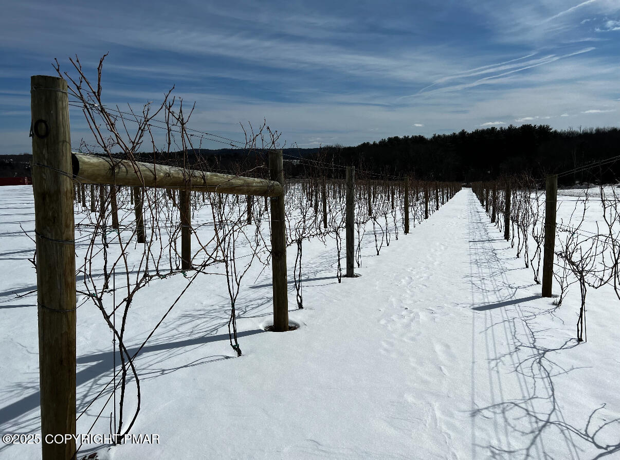 1212 Burger Hollow Road