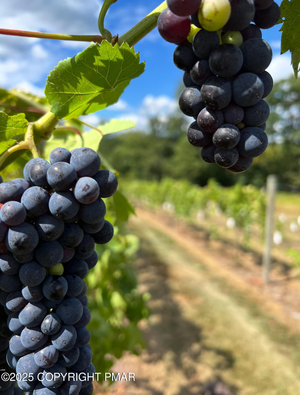 1212 Burger Hollow Road