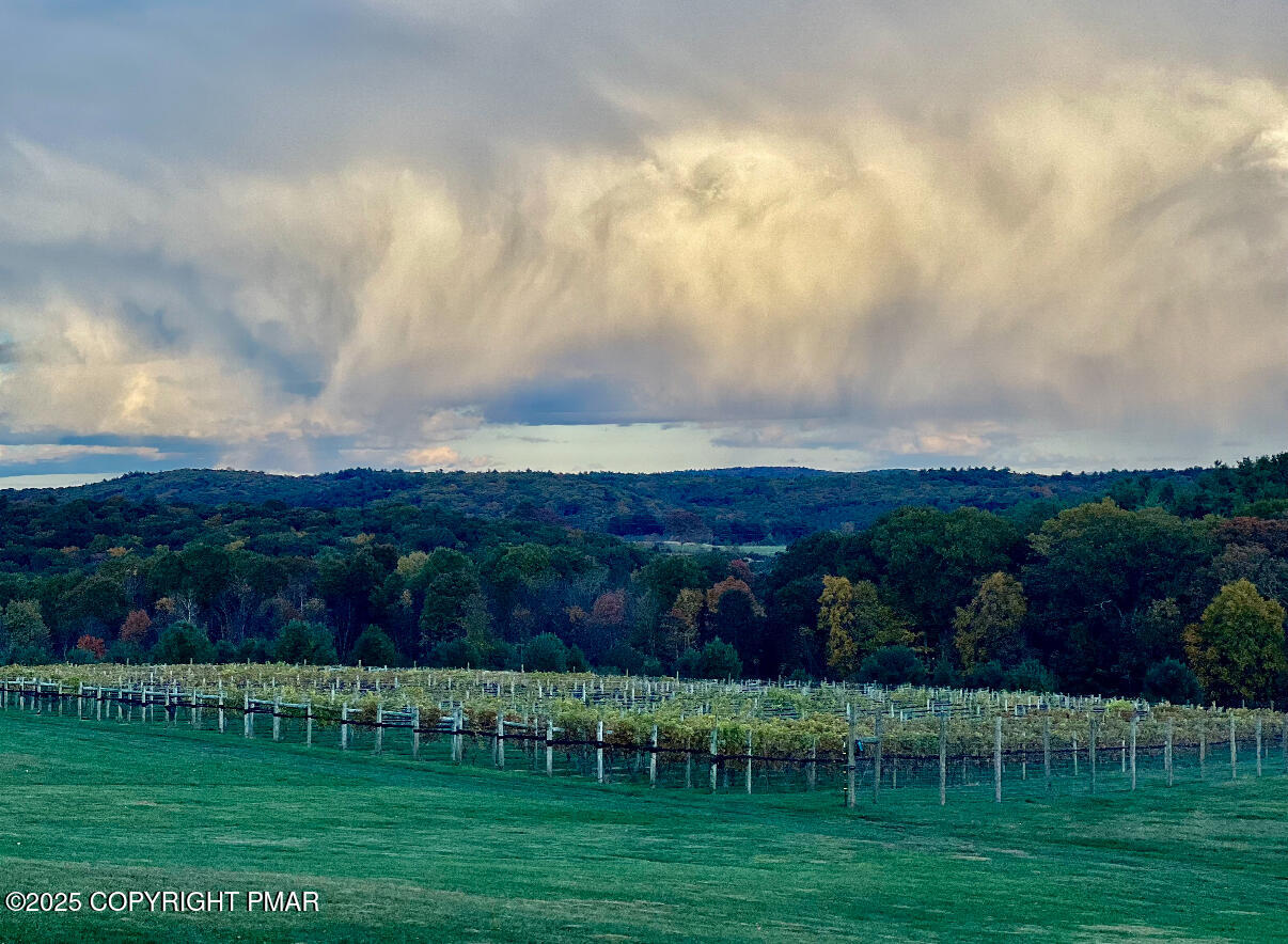 1212 Burger Hollow Road