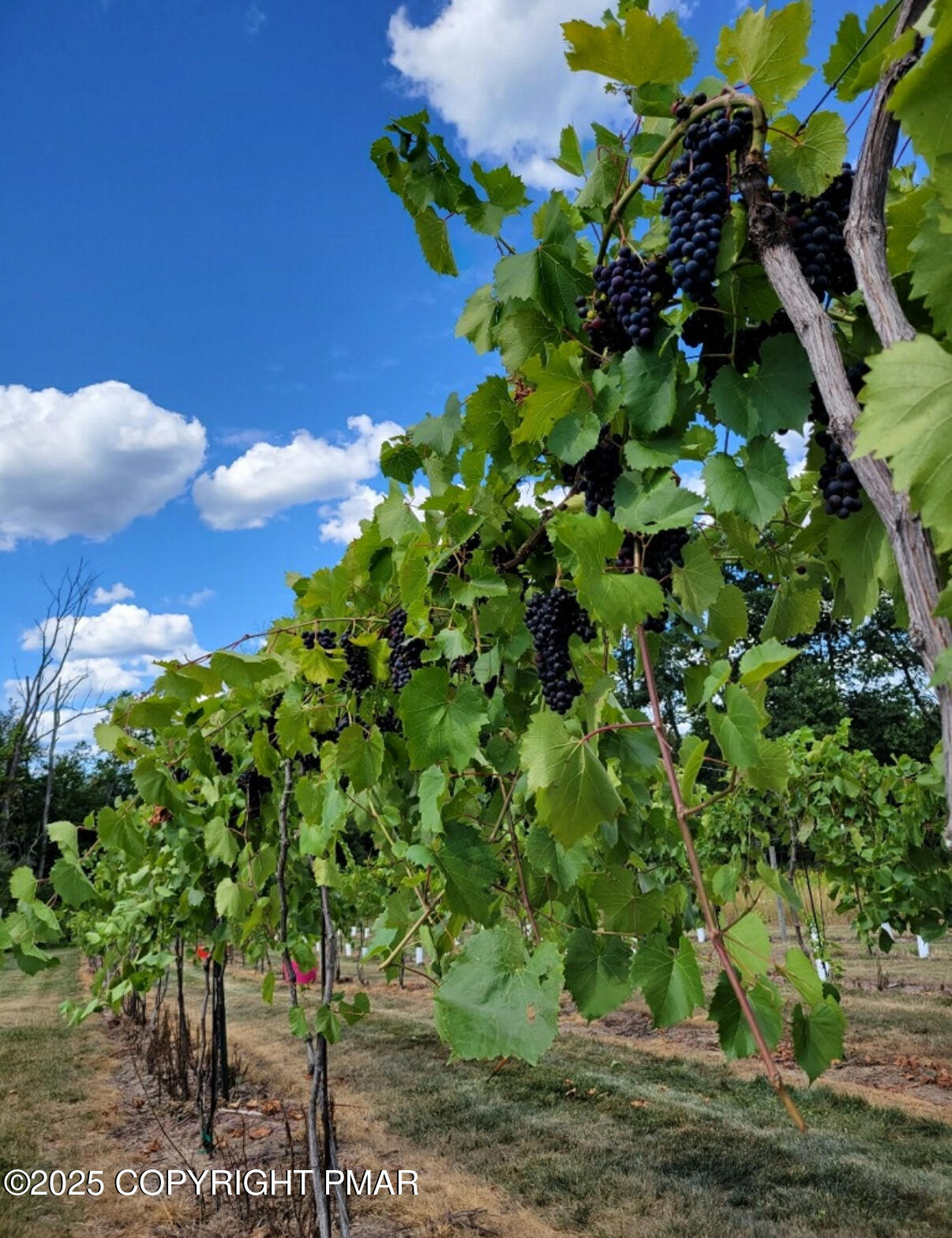 1212 Burger Hollow Road