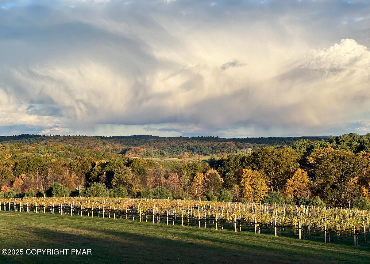 1212 Burger Hollow Road