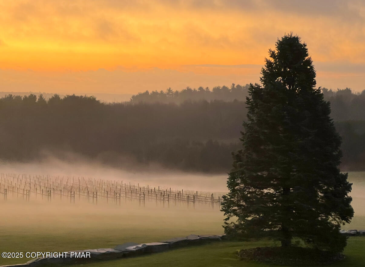 1212 Burger Hollow Road